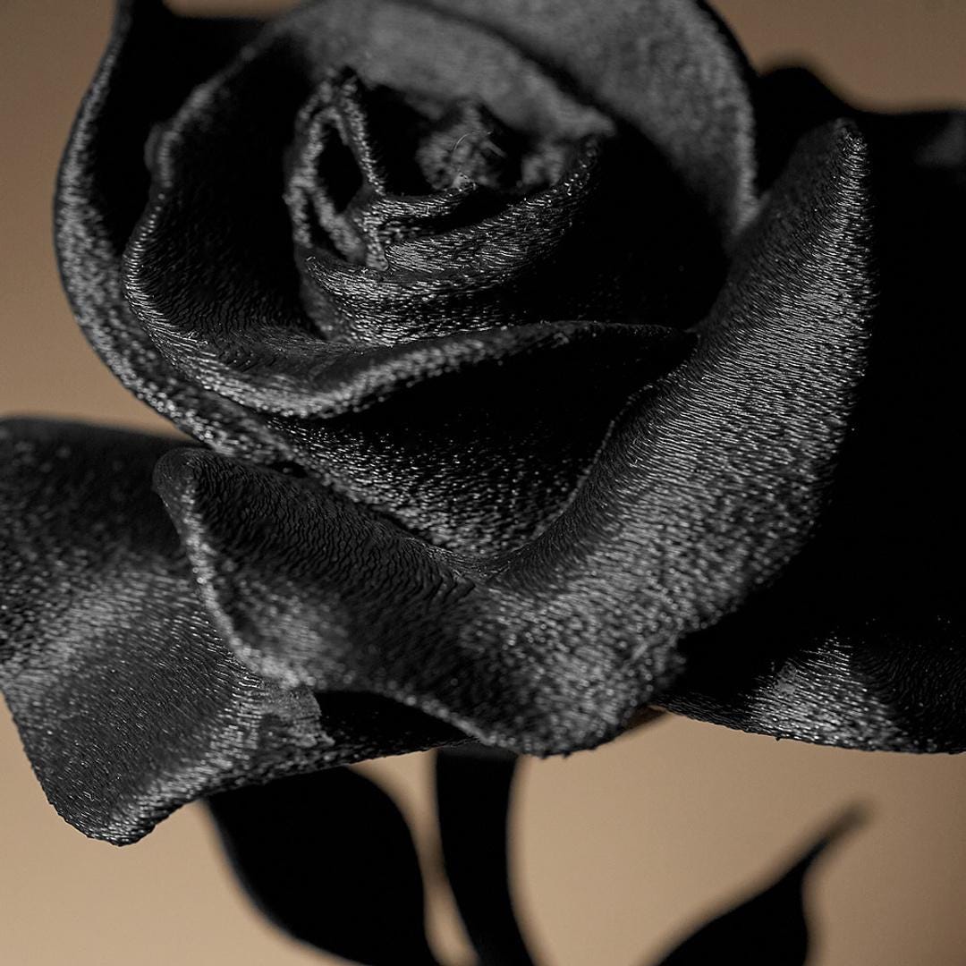 Elegant Rose – Modern Art Piece